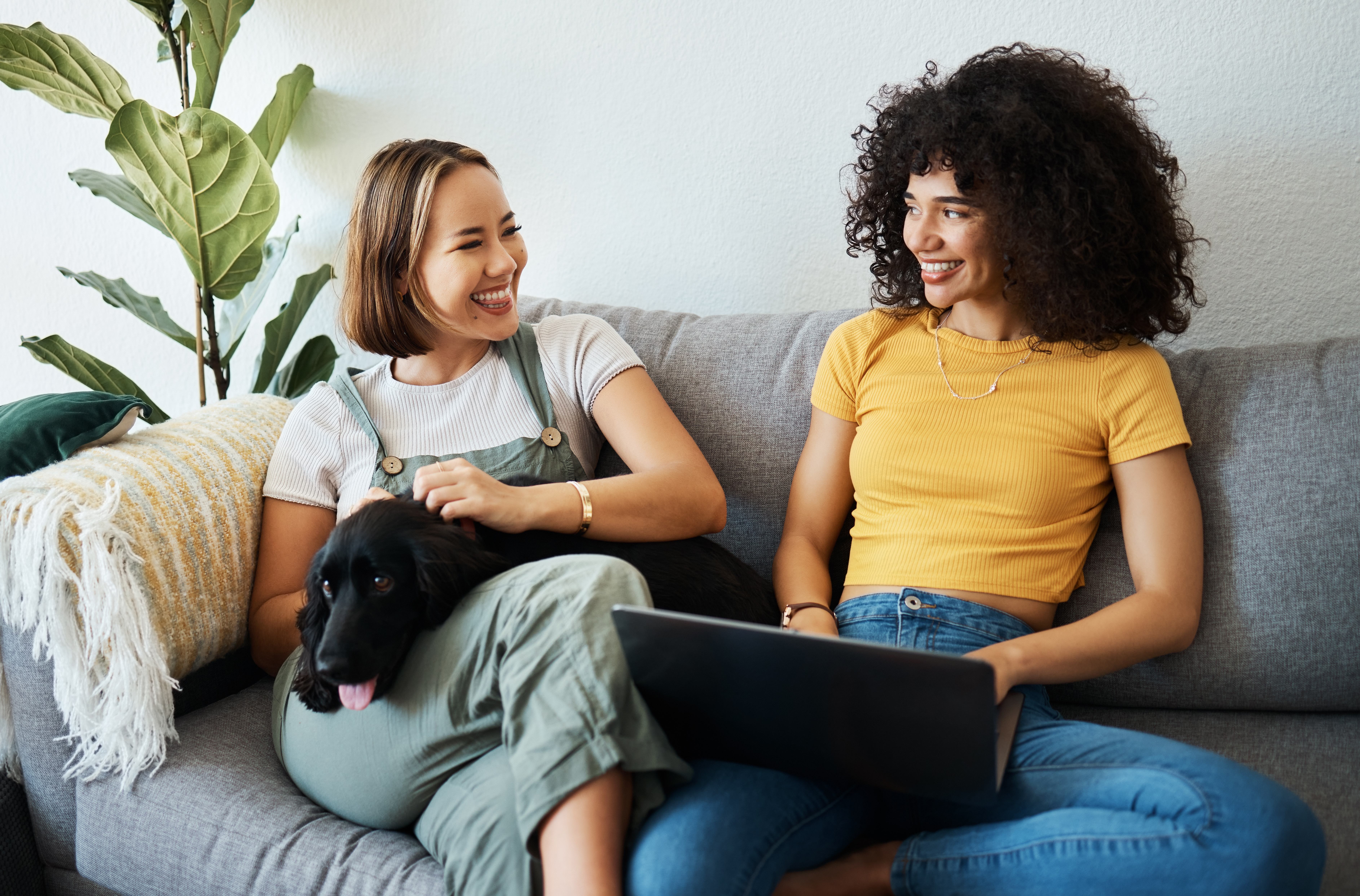 Couple reviewing starter travel credit card options on a laptop