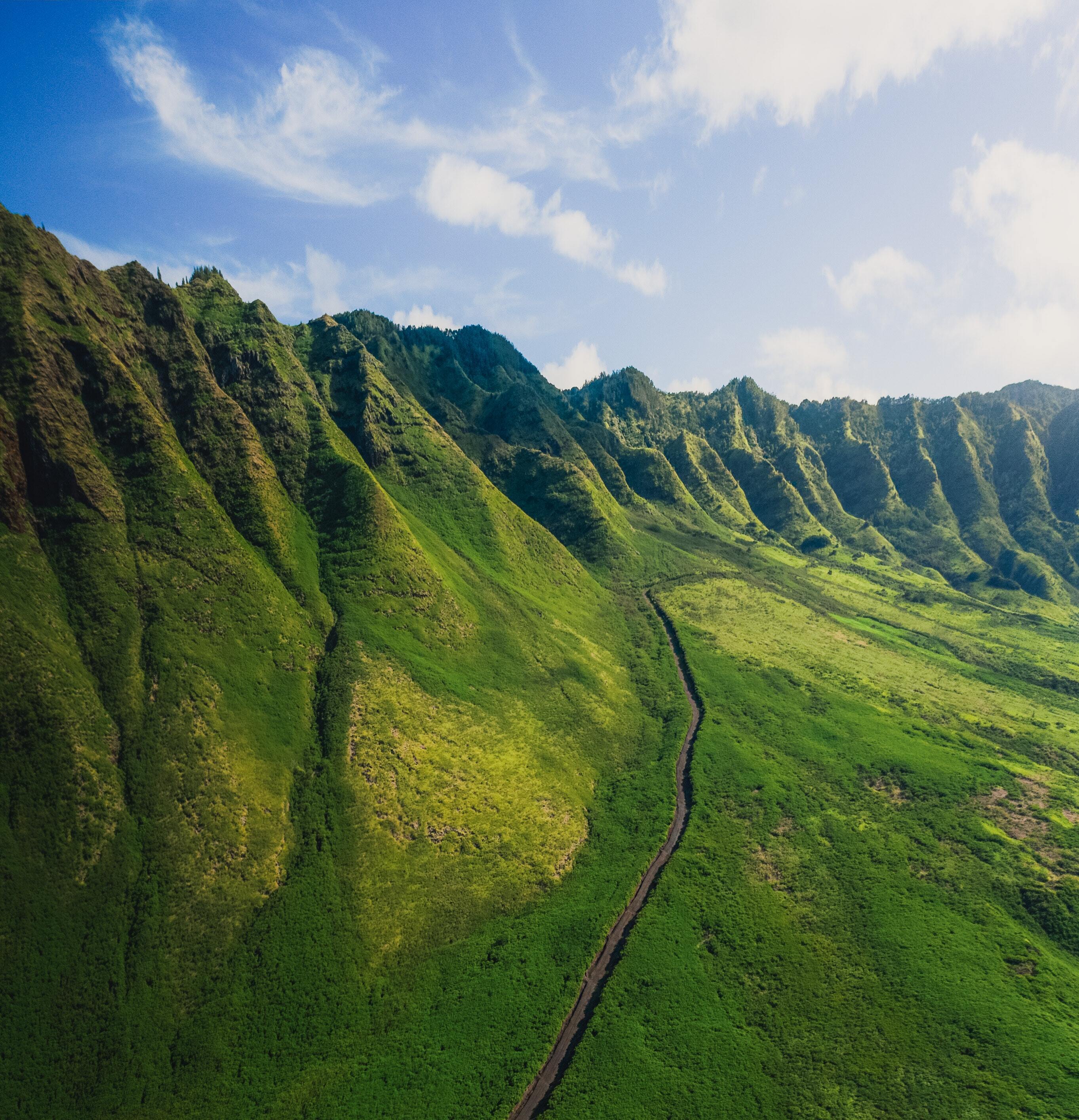 trail leading through grassy mountains
